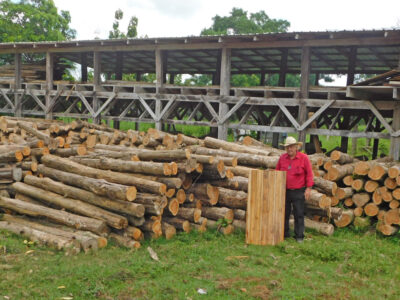 Sawmill-3